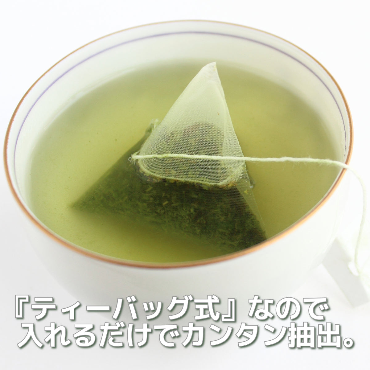 【期間限定販売 8/15まで】オガトレ茶 ティーバッグ 10包×30グラム入 静岡県 絶景の茶畑テラス 茶の間 動画コラボ記念