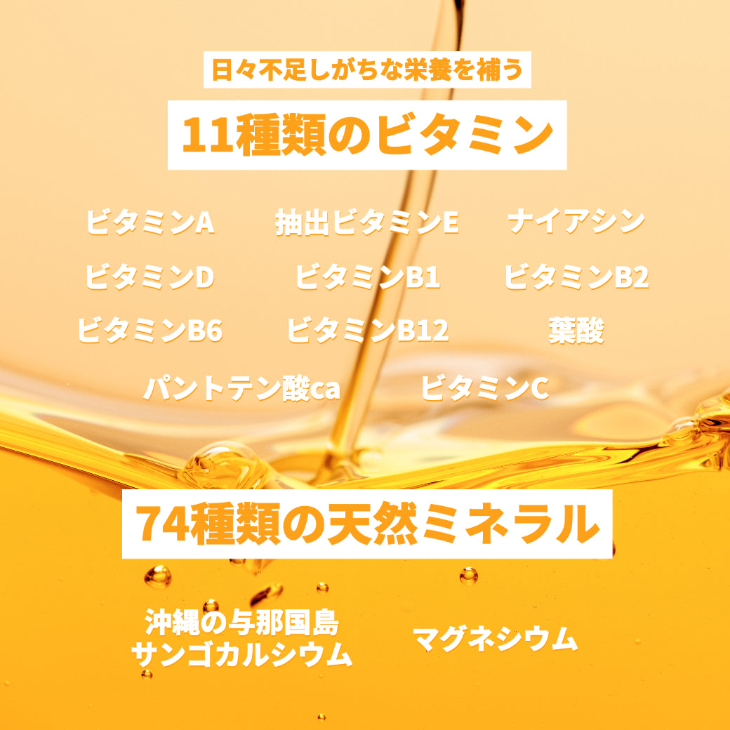 Giプロテインみそ汁 1杯で5gたんぱく質+食物繊維がとれる おみそ汁 三陸の海苔 わかめ 水溶性 食物繊維たっぷり