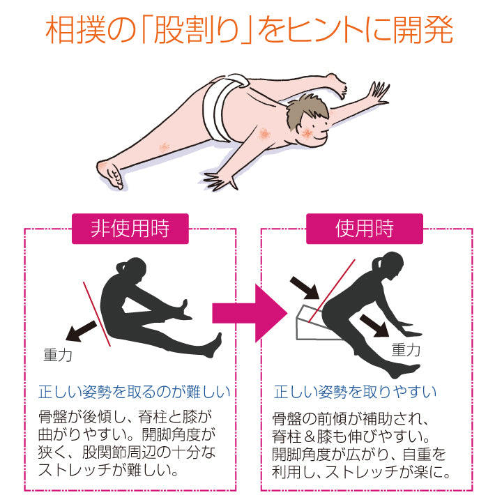 フレックスクッション （ショップ購入限定動画特典付き） 送料無料